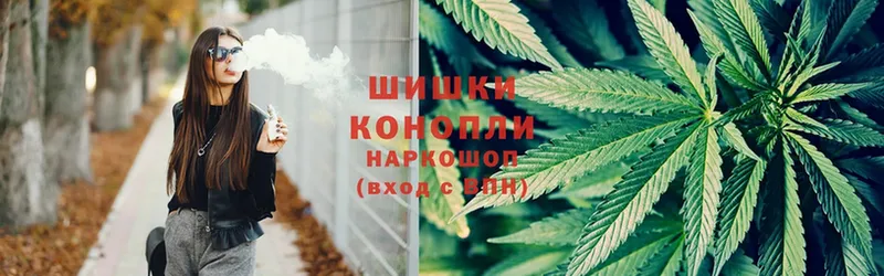 как найти   Багратионовск  Бошки марихуана OG Kush 